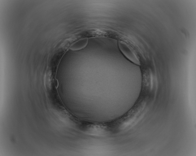 X0000113350223200910061025