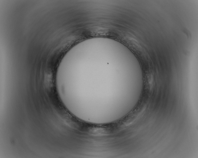 X0000113350224200910061025