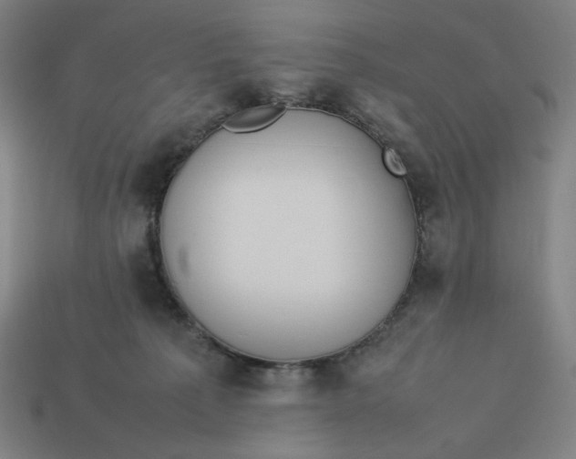 X0000113350225200910061025