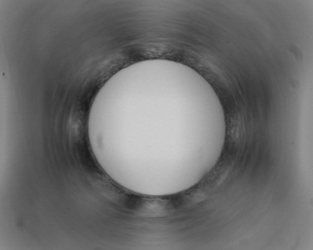 X0000113350226200910061025