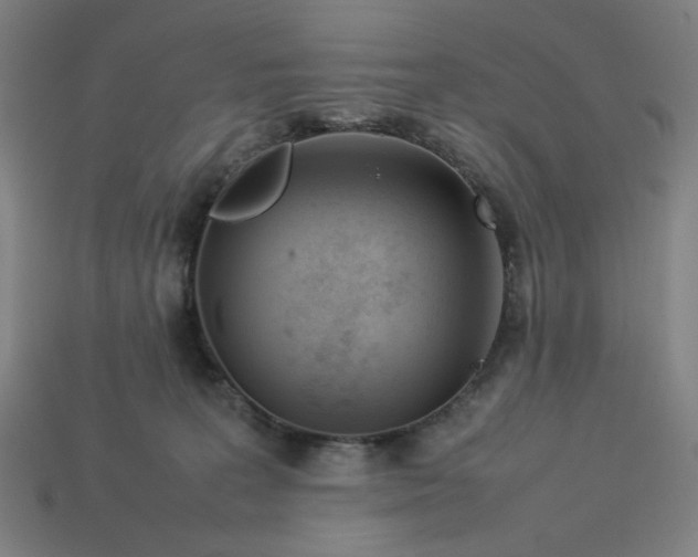 X0000113350227200910061025