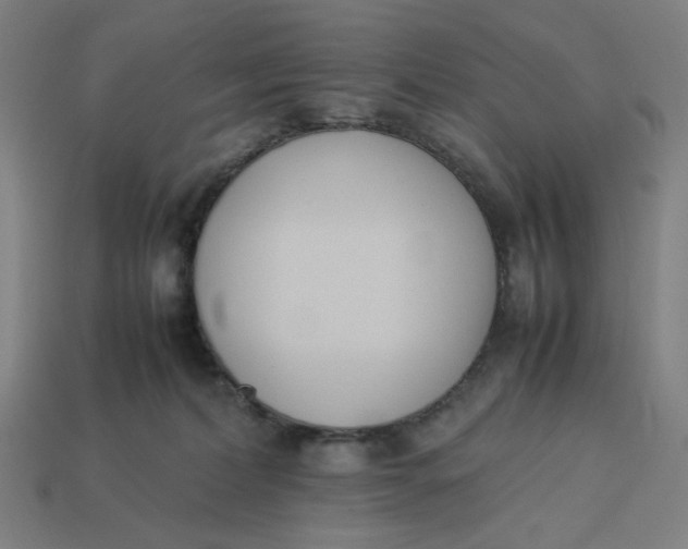 X0000113350228200910061025