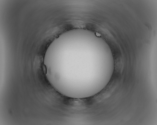 X0000113350229200910061025