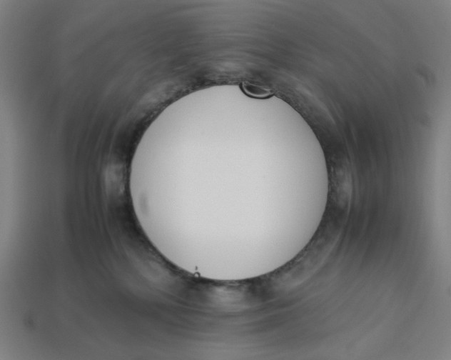 X0000113350232200910061025