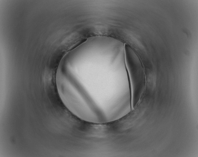 X0000113350233200910061025