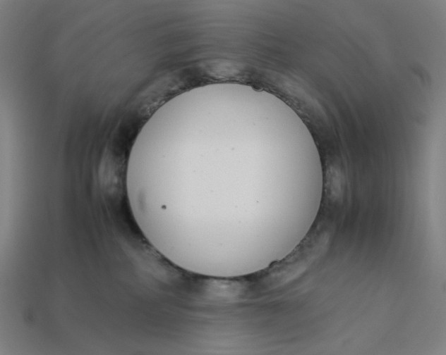 X0000113350234200910061025