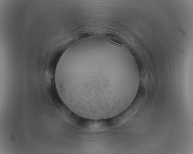 X0000113350235200910061025