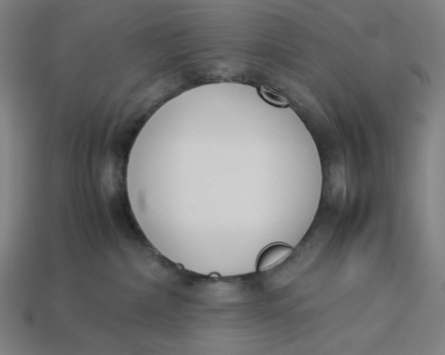 X0000113350236200910061025