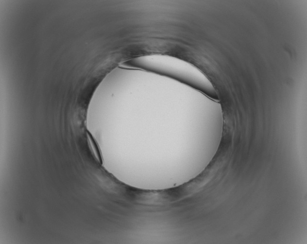 X0000113350237200910061025