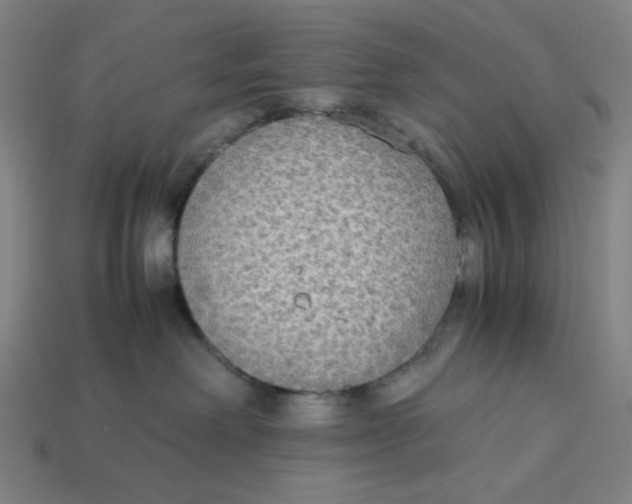 X0000113350238200910061025