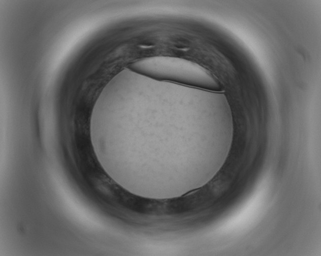 X0000113350239200910061025