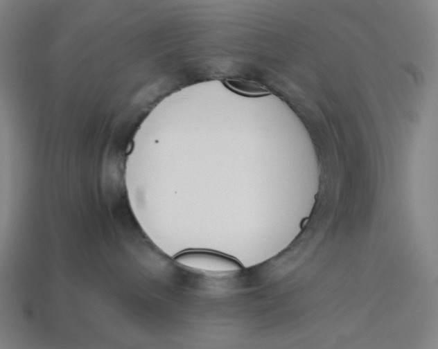 X0000113350240200910061025