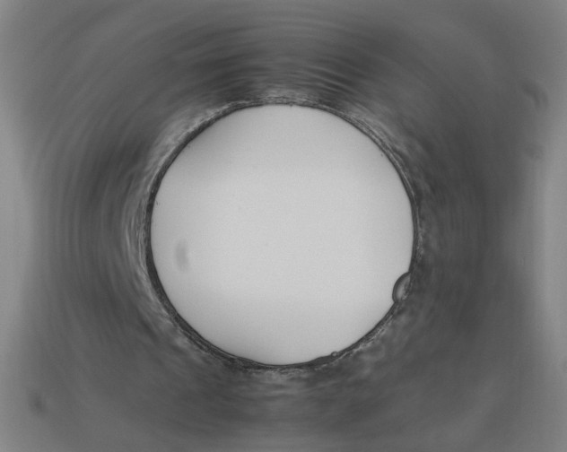 X0000113350241200910061024