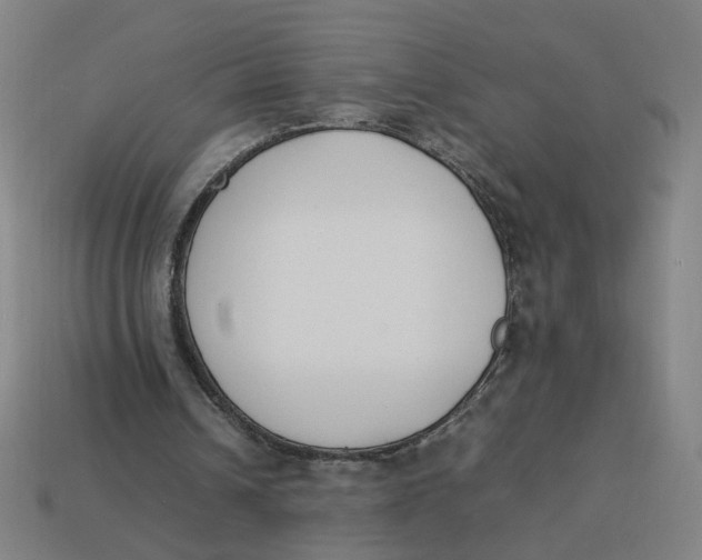 X0000113350242200910061024