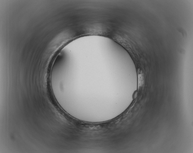 X0000113350243200910061024