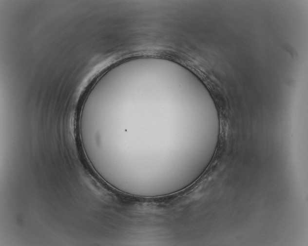 X0000113350244200910061025