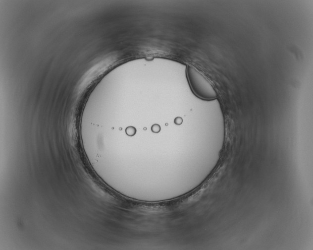 X0000113350245200910061025