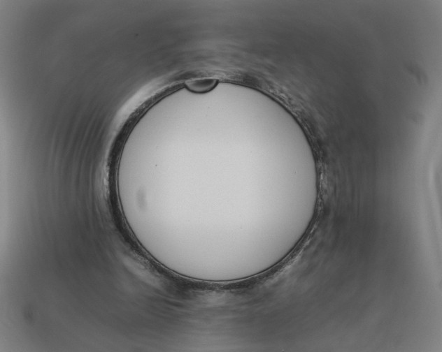 X0000113350246200910061025