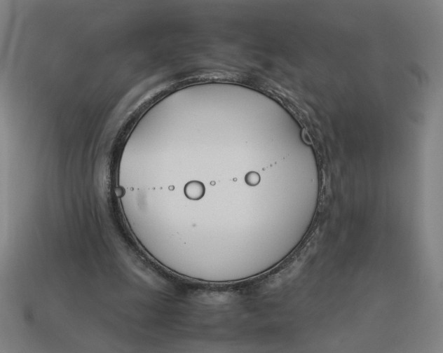 X0000113350247200910061025