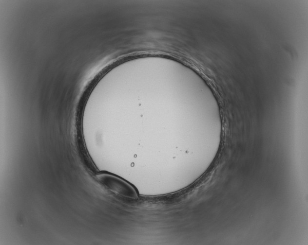 X0000113350248200910061025