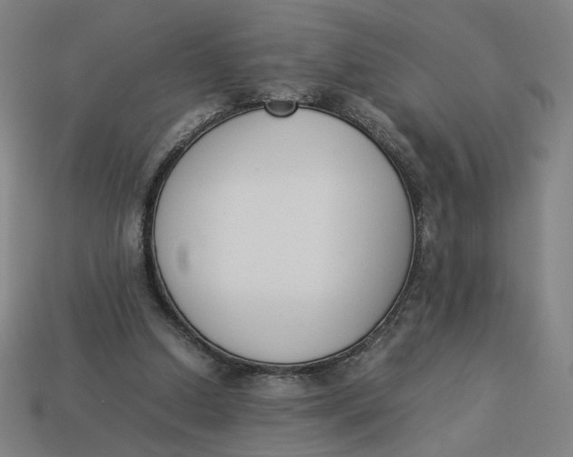 X0000113350250200910061025