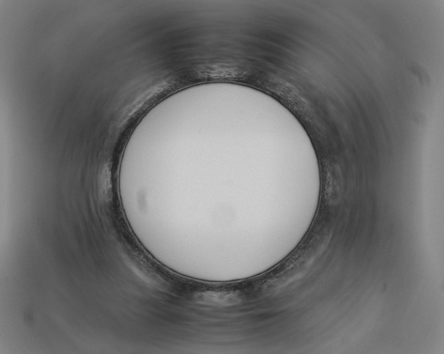 X0000113350251200910061025