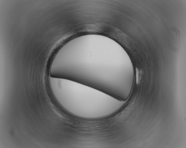 X0000113350252200910061025