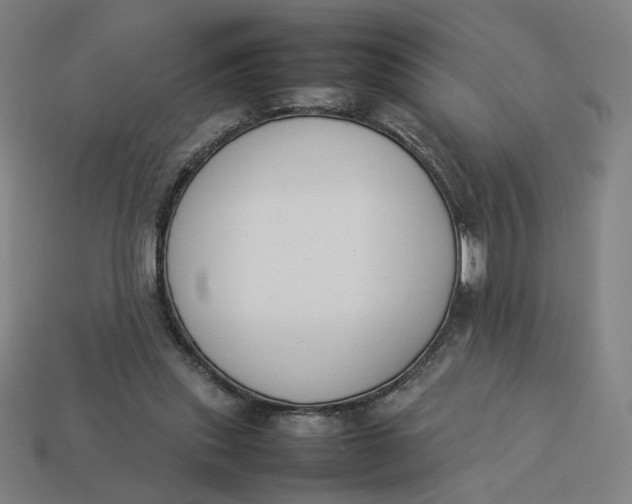 X0000113350253200910061025