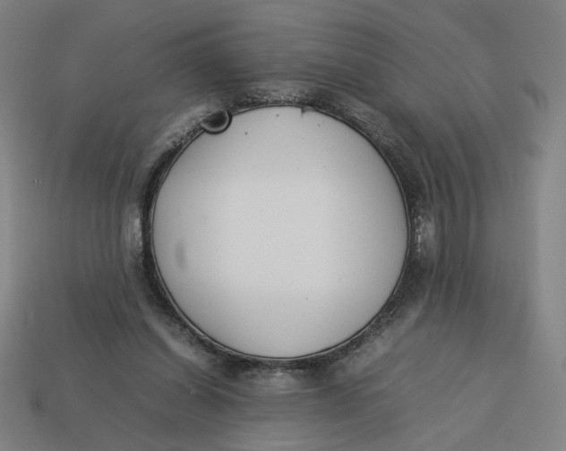 X0000113350254200910061025