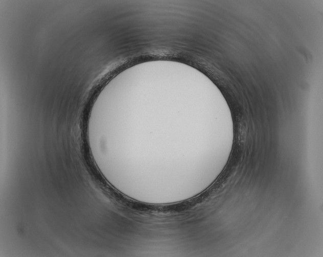 X0000113350256200910061025