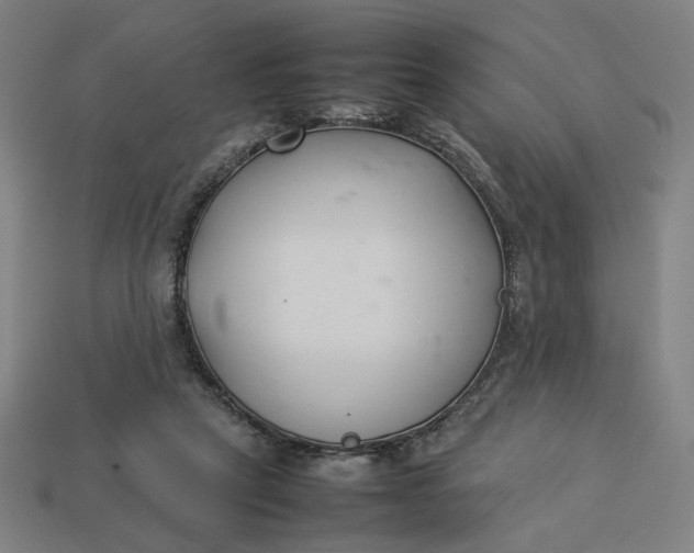 X0000113350257200910061025