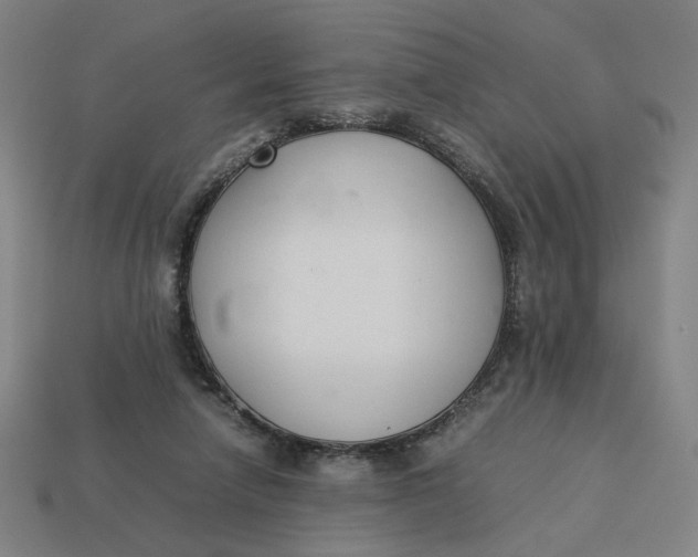 X0000113350258200910061025