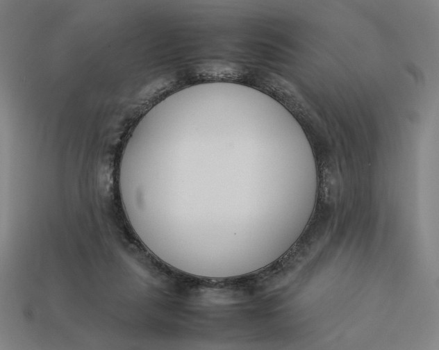 X0000113350259200910061025