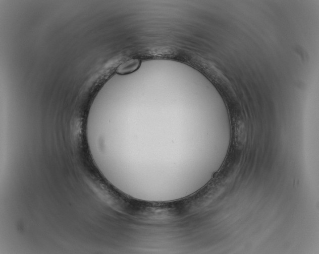 X0000113350260200910061025