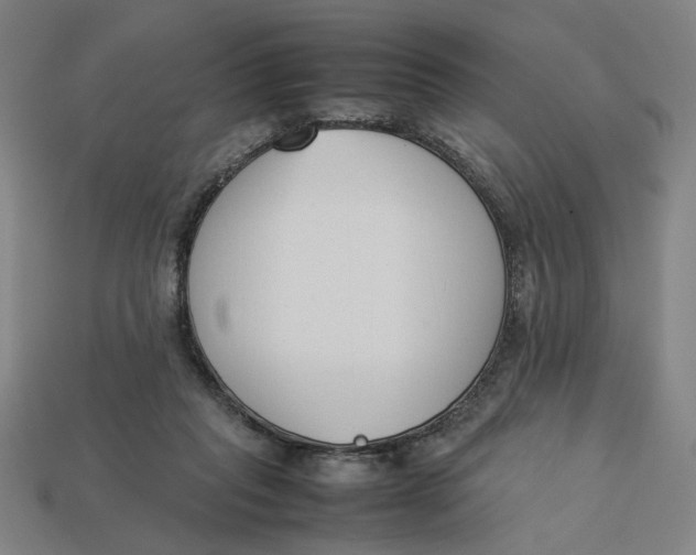 X0000113350261200910061025