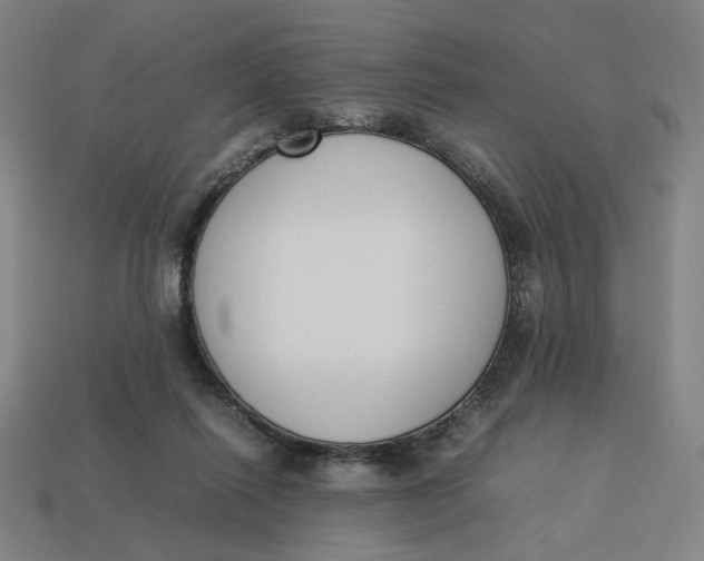 X0000113350262200910061025