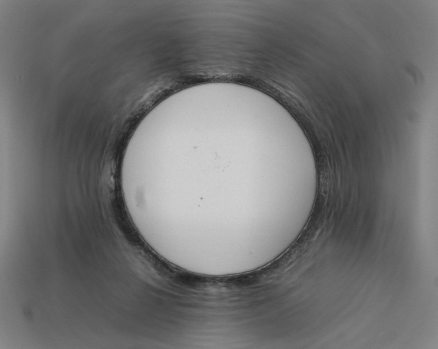 X0000113350264200910061025