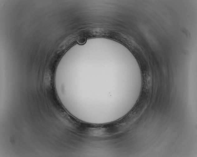 X0000113350266200910061025