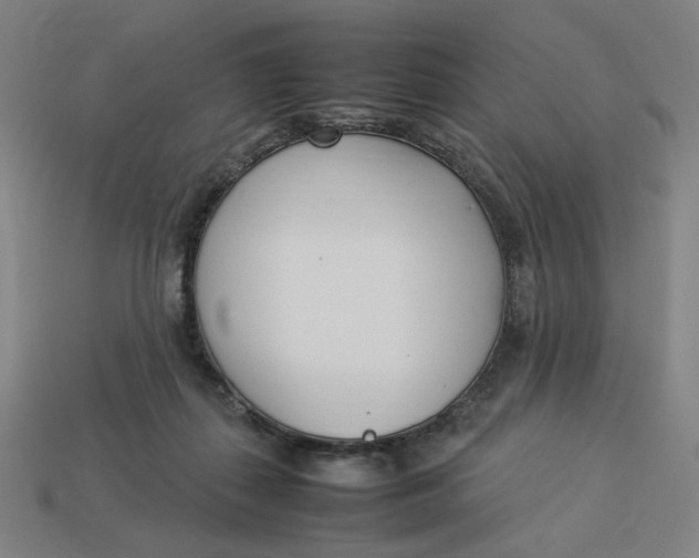 X0000113350267200910061025