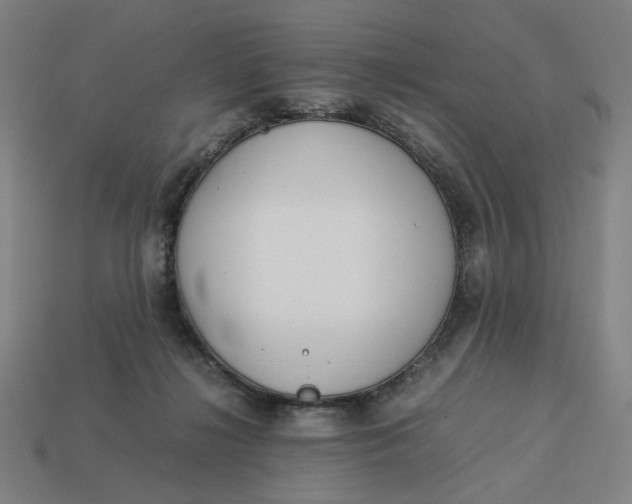 X0000113350268200910061025