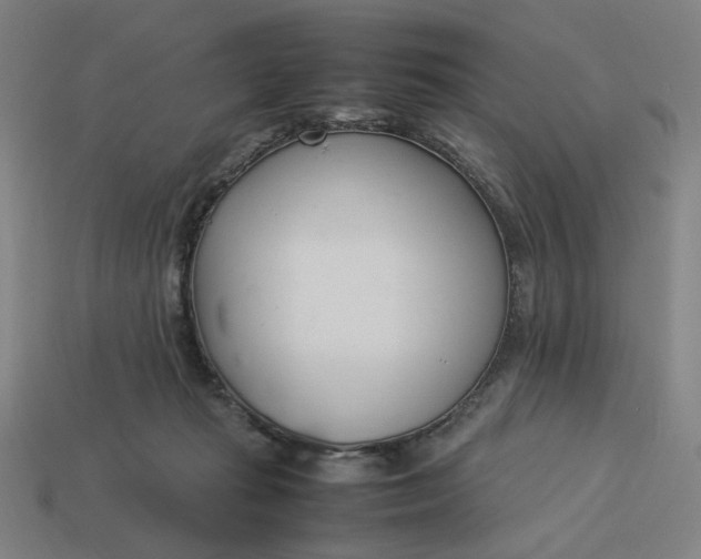 X0000113350269200910061025