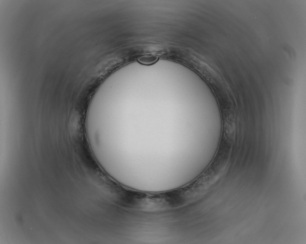 X0000113350270200910061025