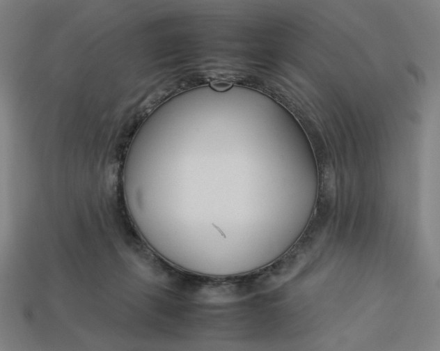 X0000113350271200910061025