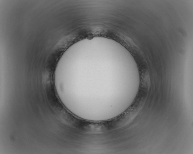 X0000113350272200910061025