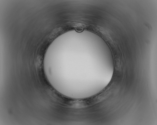 X0000113350273200910061025