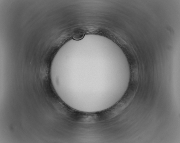 X0000113350274200910061025