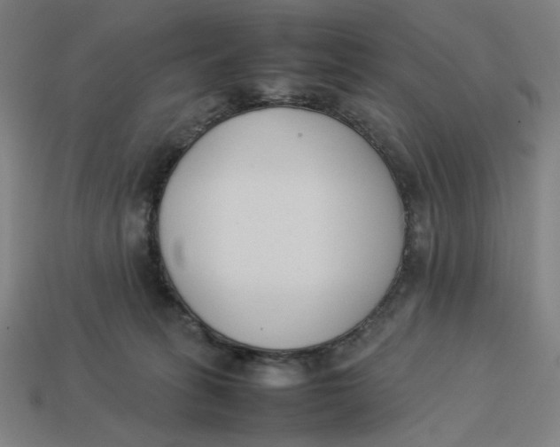 X0000113350275200910061025