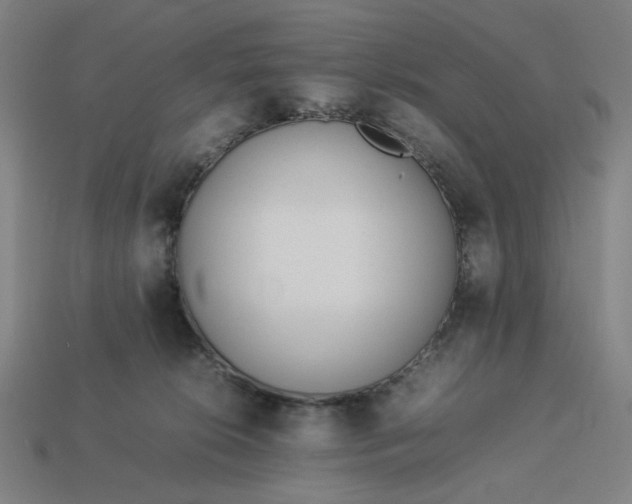 X0000113350276200910061025