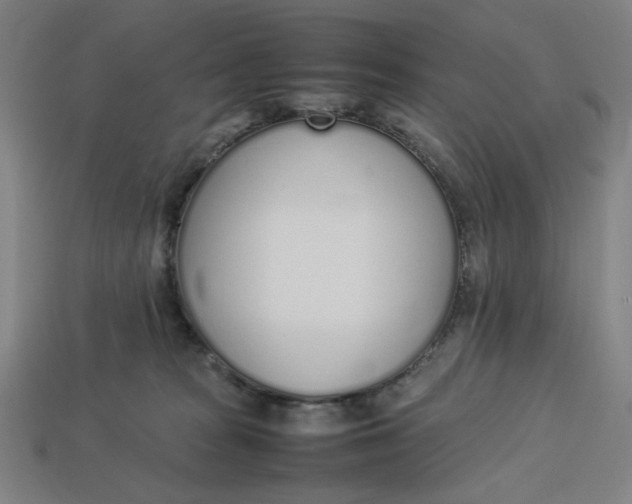 X0000113350277200910061025