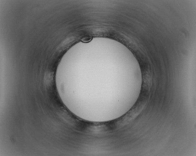 X0000113350278200910061025